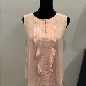 Ann Taylor Light Pink Ruffle Blouse